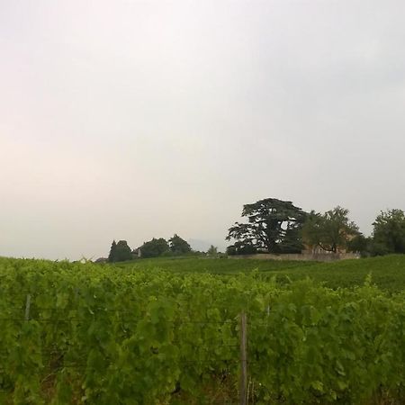 Chateau La Violette Les Marches Экстерьер фото
