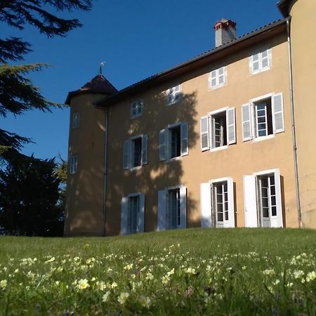 Chateau La Violette Les Marches Экстерьер фото