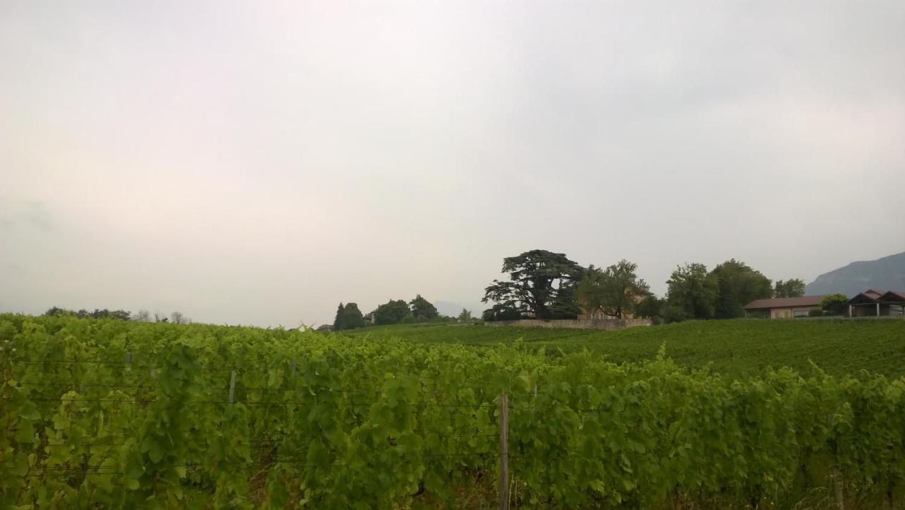 Chateau La Violette Les Marches Экстерьер фото